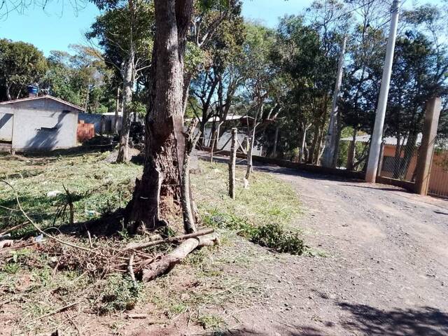 Terreno para Venda em Ibiúna - 3